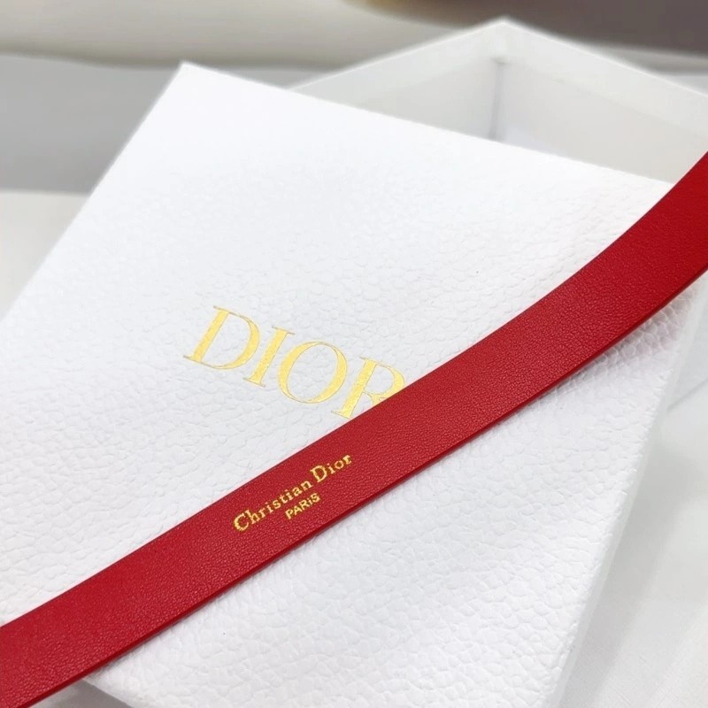 Classic Christian Dior Belts 284920
