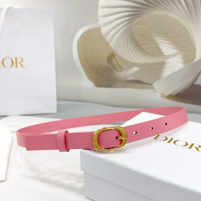 Christian Dior Belts Comfortable 284919