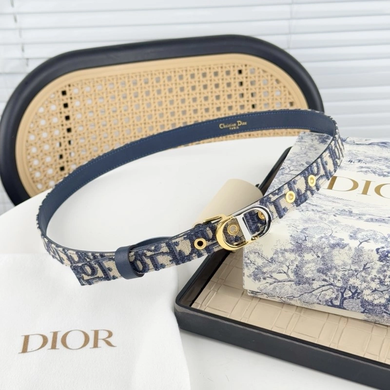 Christian Dior Belts Soft 284865