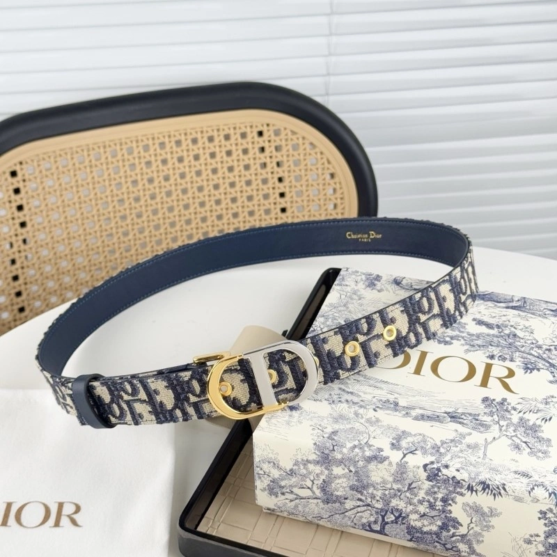 Christian Dior Belts Vibrant 284876
