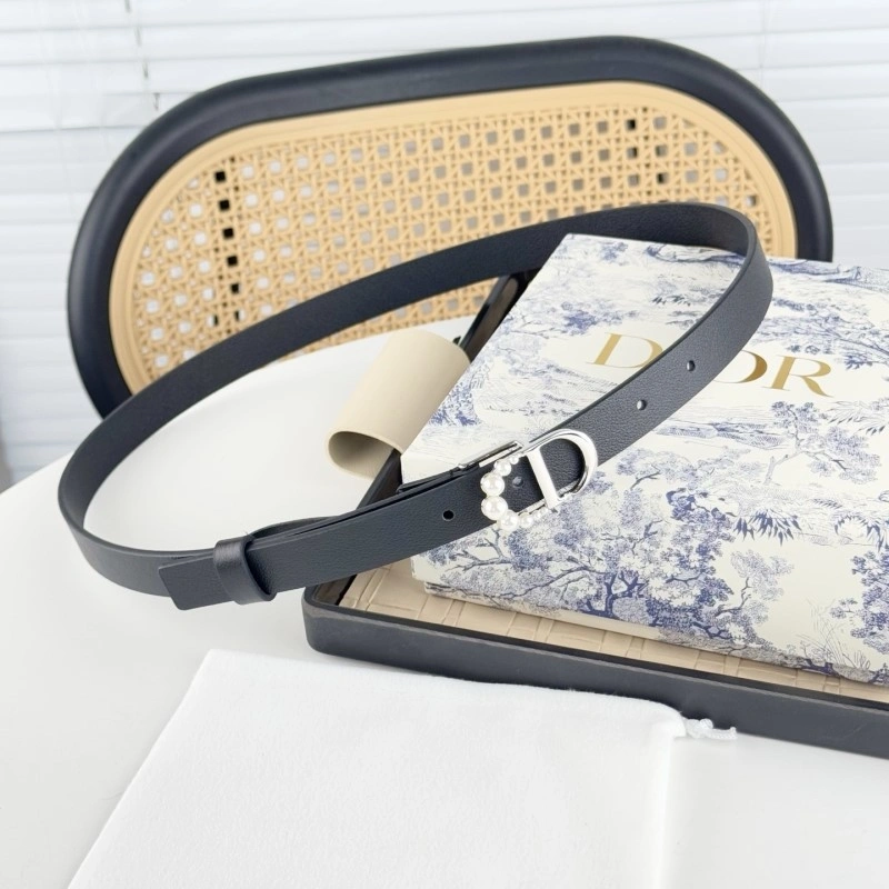 Christian Dior Belts TimelessDesign 284875