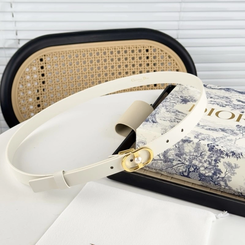 Christian Dior Belts Trendsetting 284850