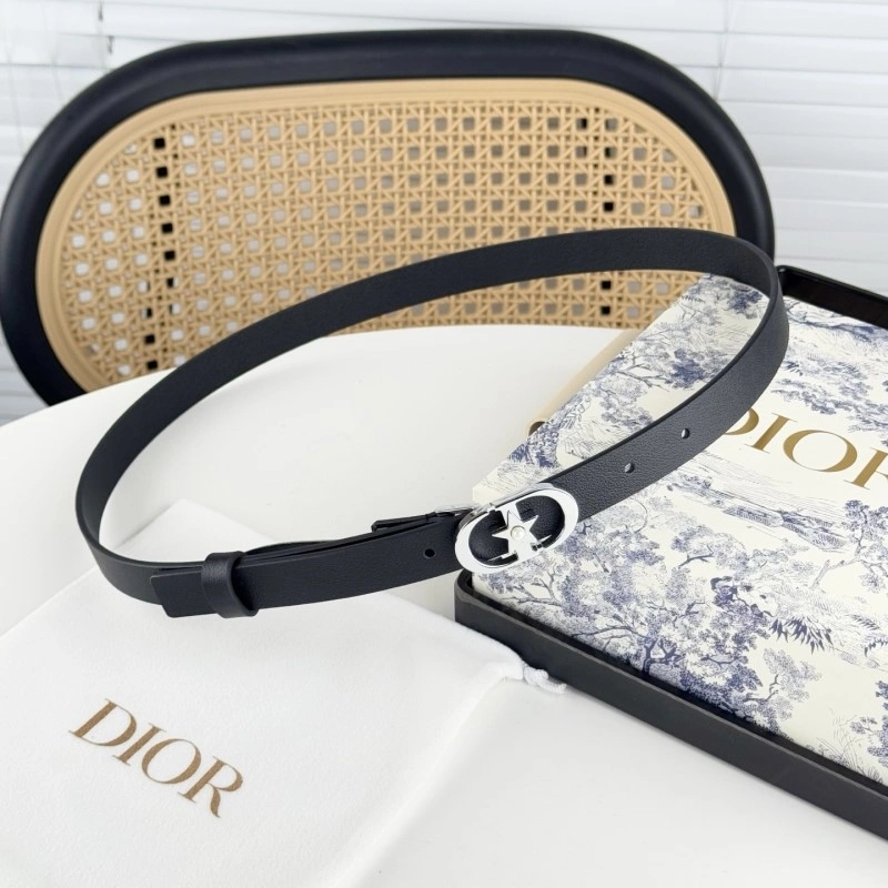 Christian Dior Belts Classic 284866