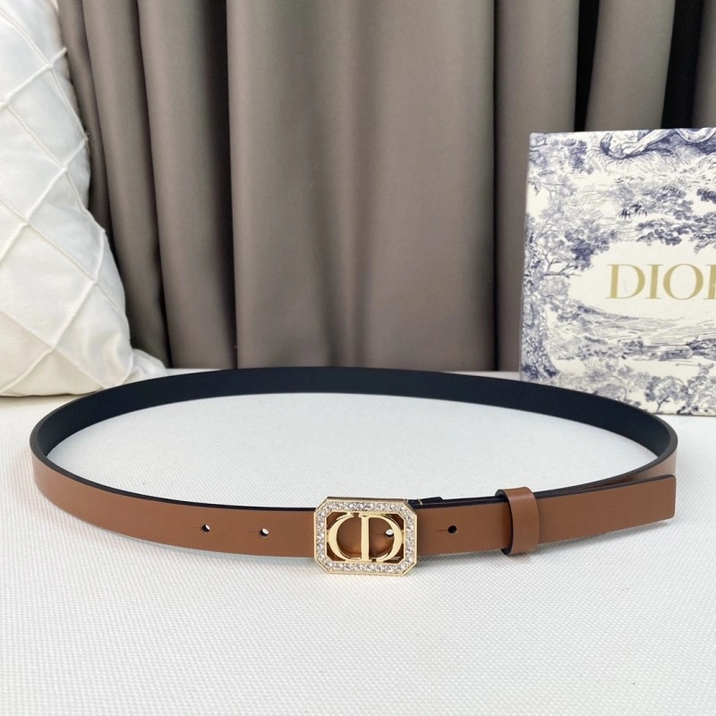 QuickDry Christian Dior Belts 284860