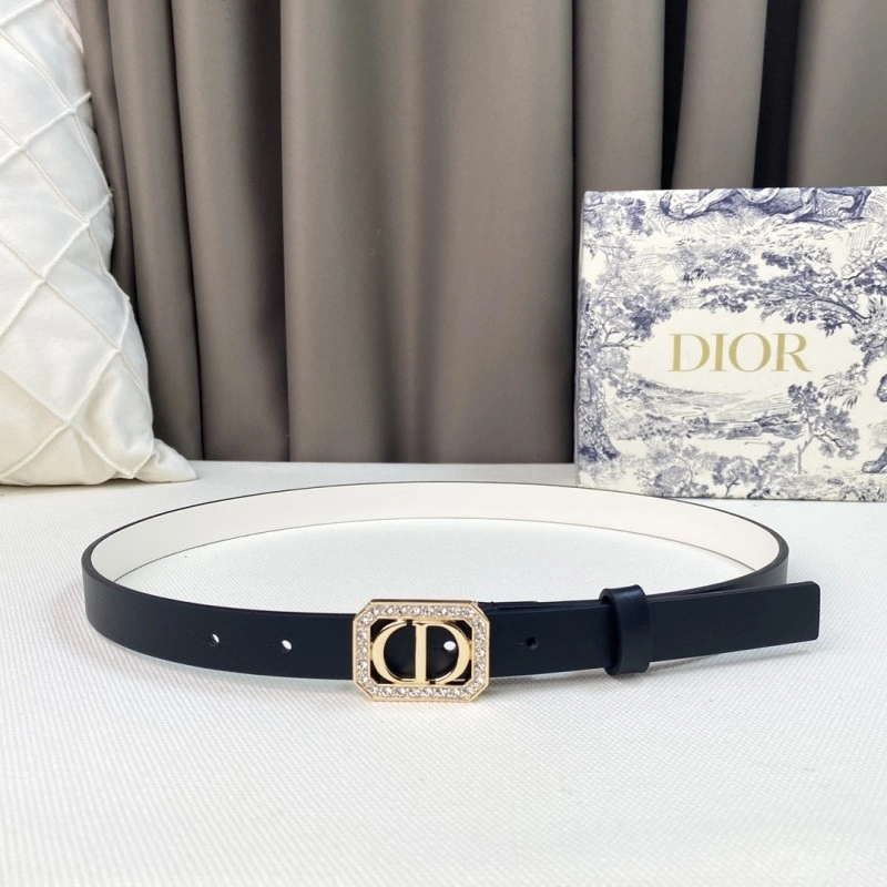 Christian Dior Belts Contemporary 284870