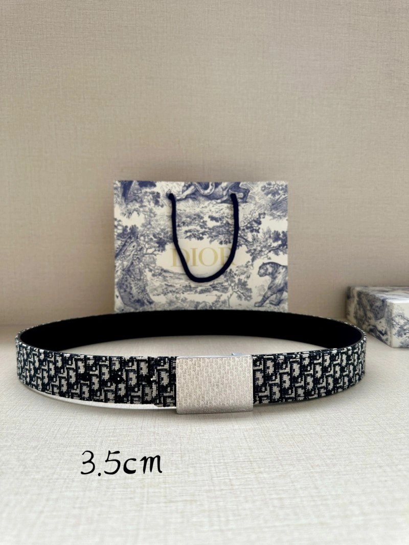 Christian Dior Belts SmoothTexture 284684