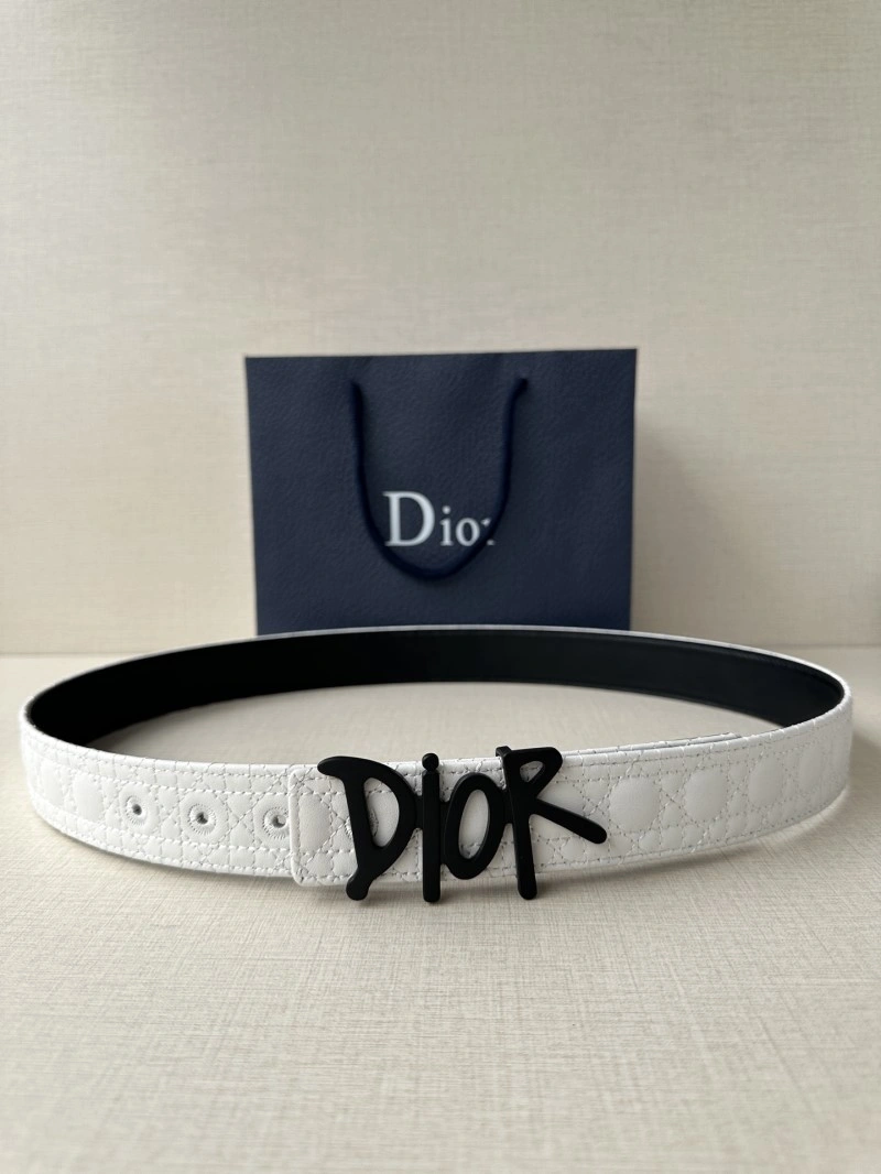 TravelReady Christian Dior Belts 284669