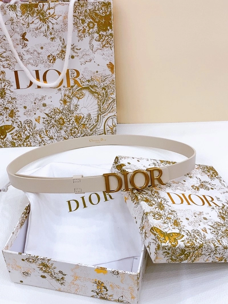 EasyCare Christian Dior Belts 284656