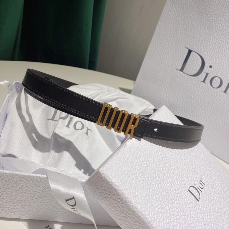 ModernLook Christian Dior Belts 284623