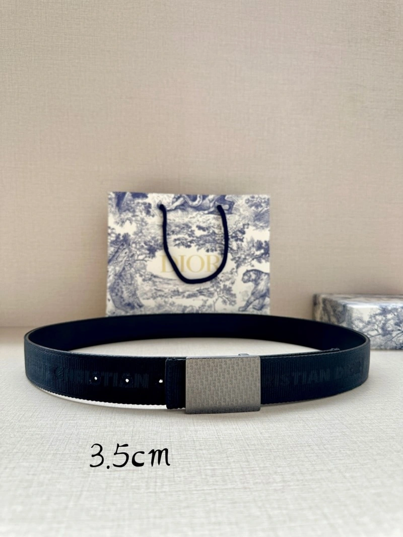 Christian Dior Belts Packable 284624
