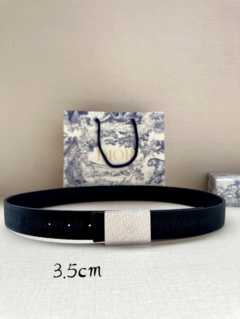 Versatile Christian Dior Belts 284616