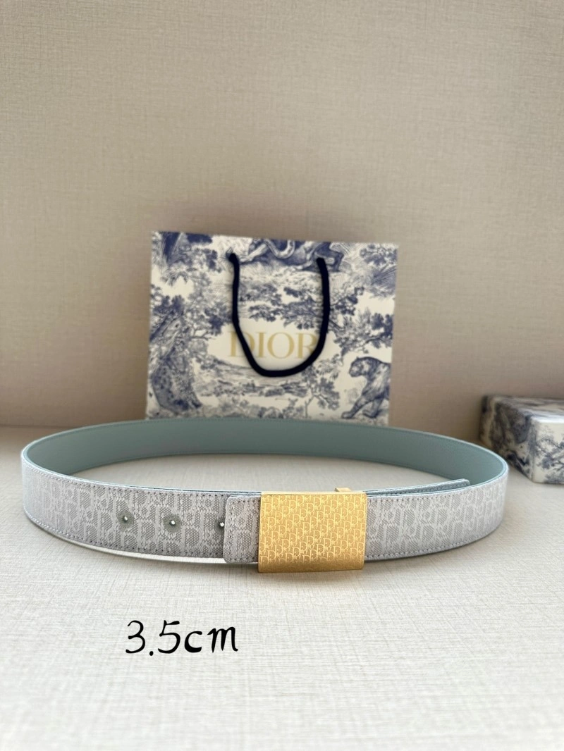 WellDesigned Christian Dior Belts 284613