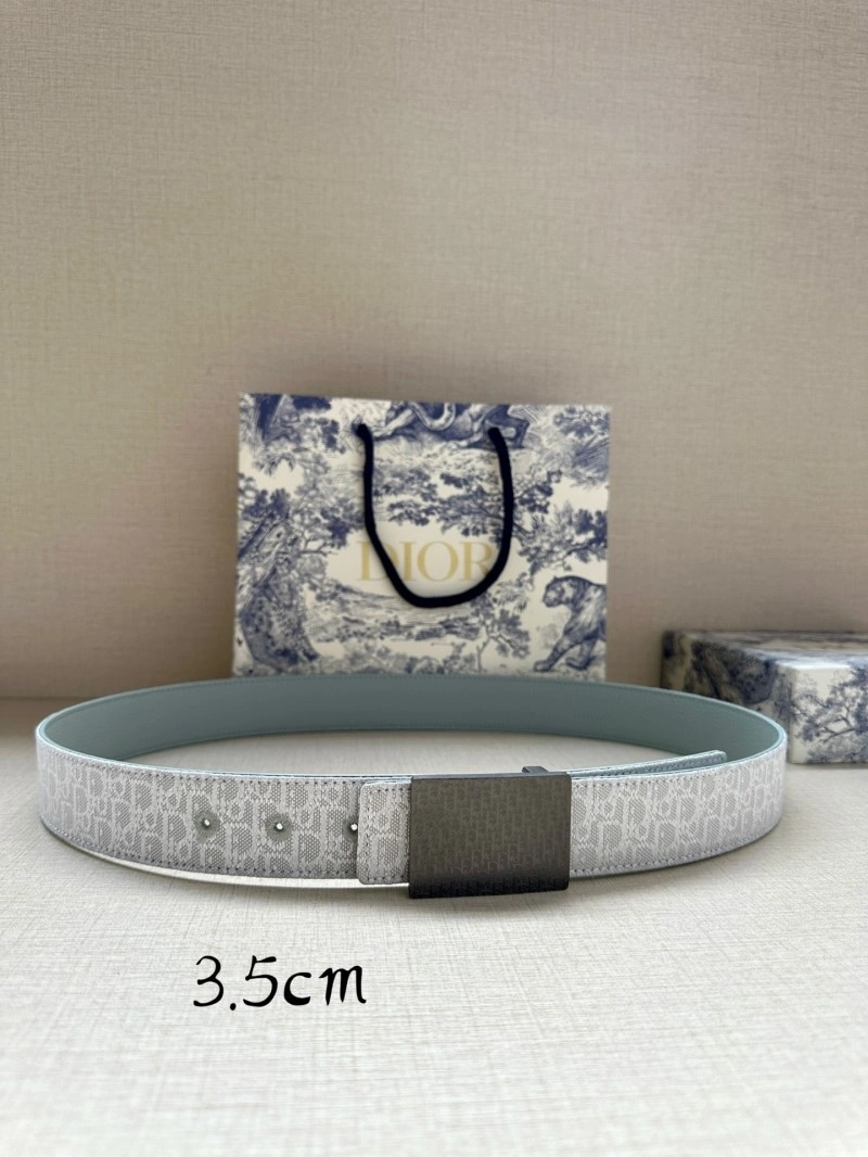 SunProtective Christian Dior Belts 284611