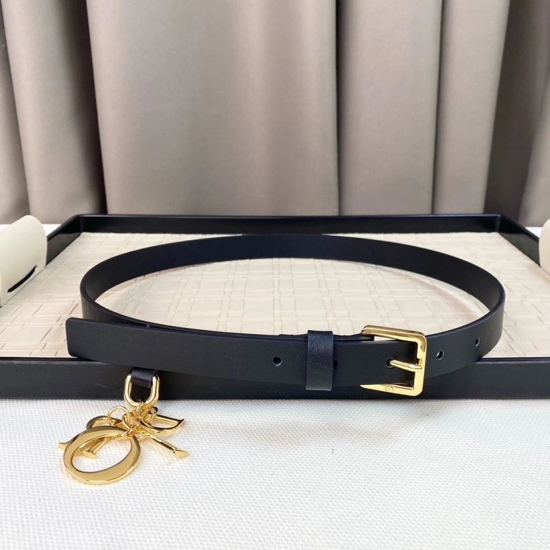 Upgraded Christian Dior Belts 284626