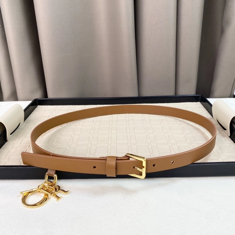 Colorful Christian Dior Belts 284610