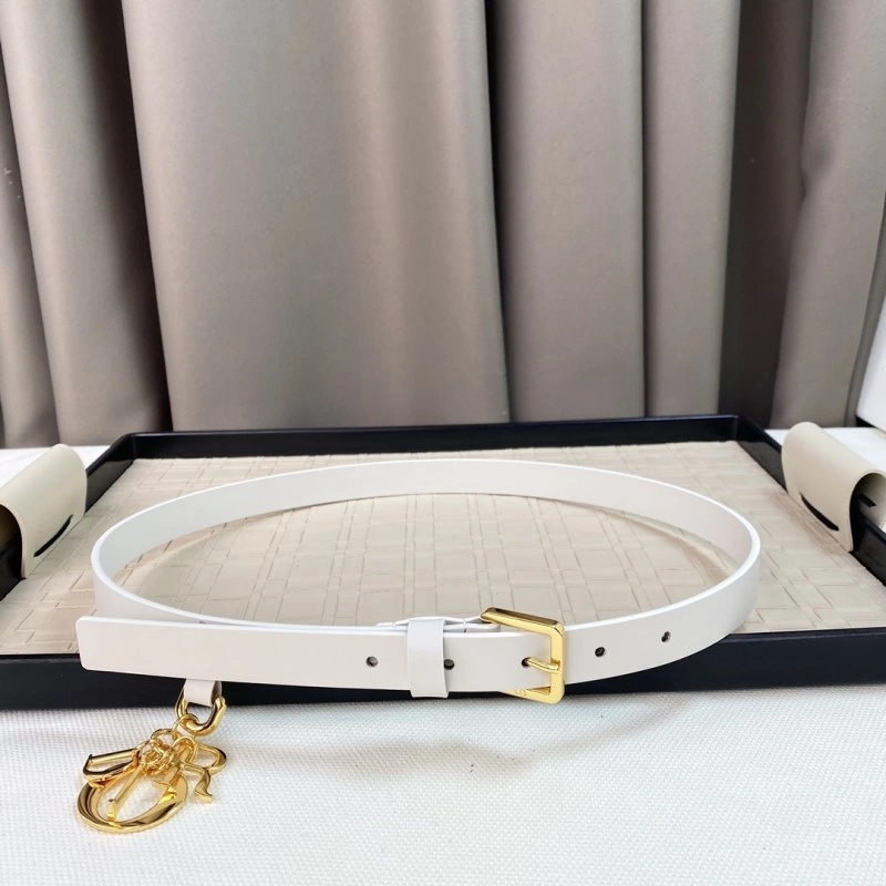 Christian Dior Belts Elegant 284607