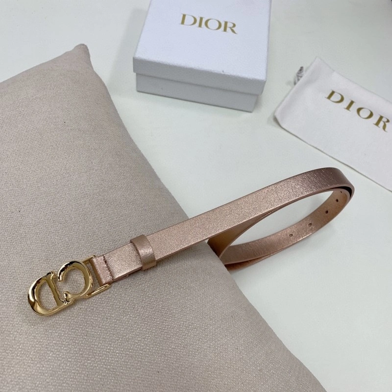 Cozy Christian Dior Belts 284591