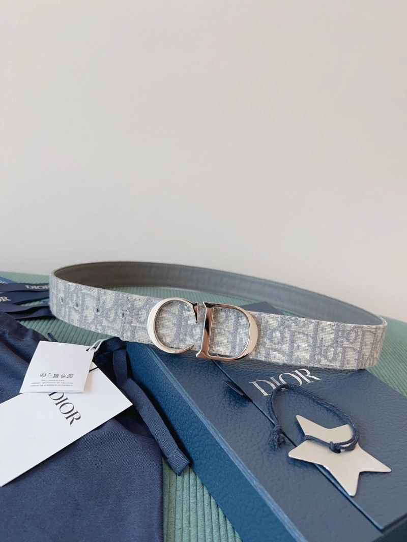 DailyWear Christian Dior Belts 284564