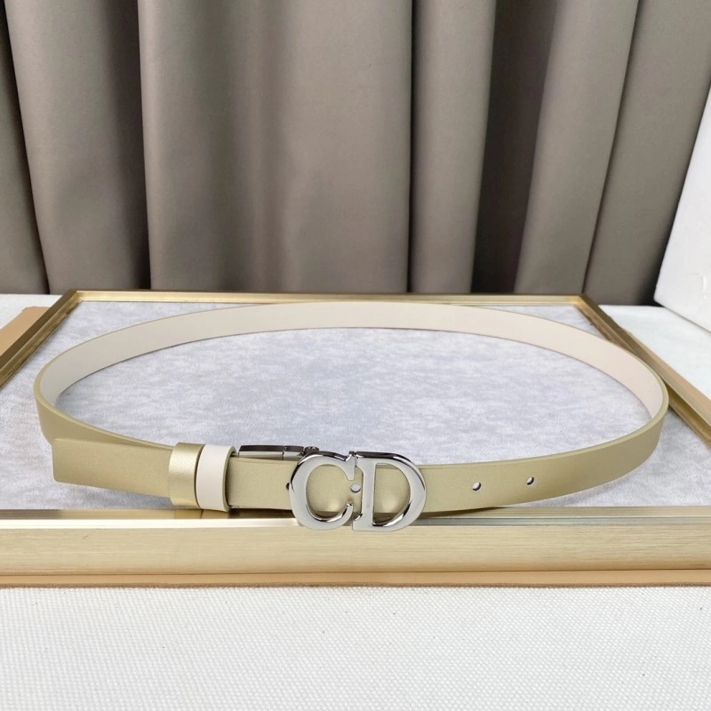 StreetReady Christian Dior Belts 284445