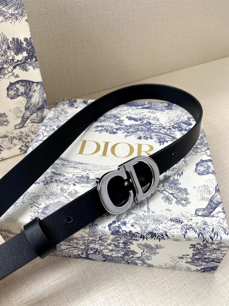 Christian Dior Belts WeatherProof 284435