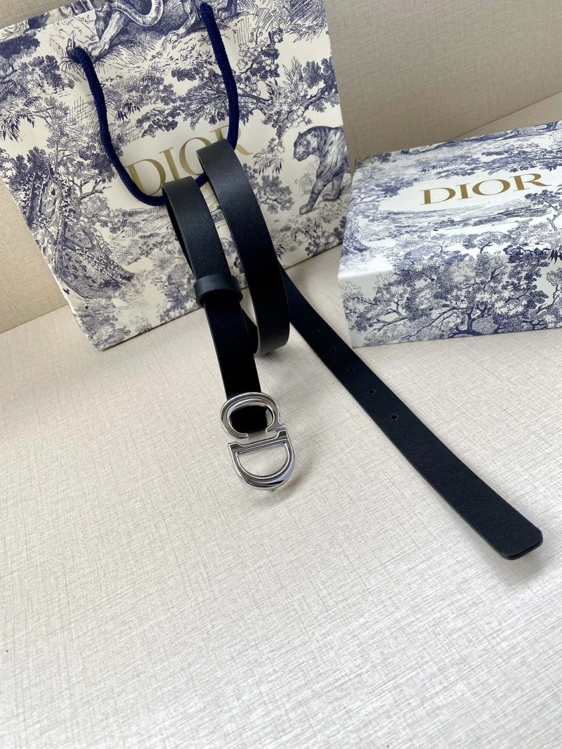 Christian Dior Belts WeatherProof 284435