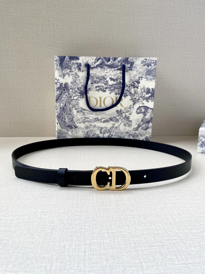 Christian Dior Belts WeatherProof 284435