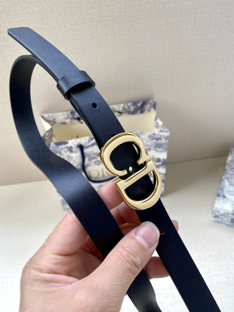 Christian Dior Belts WeatherProof 284435