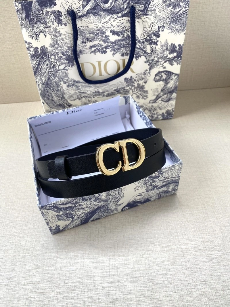 Christian Dior Belts WeatherProof 284435
