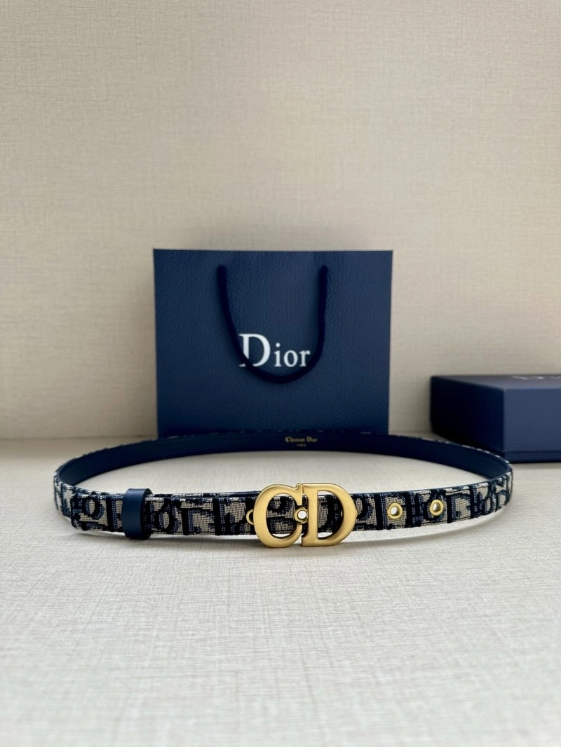 Christian Dior Belts Attractive 284415