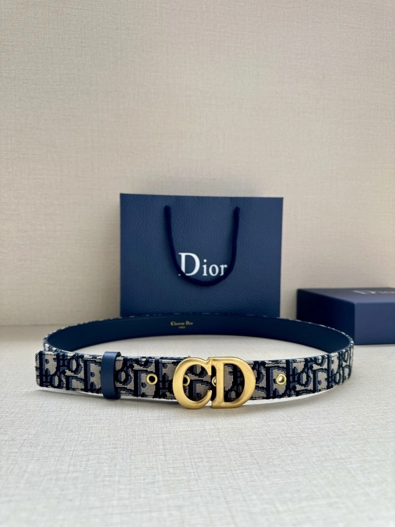 Resilient Christian Dior Belts 284420
