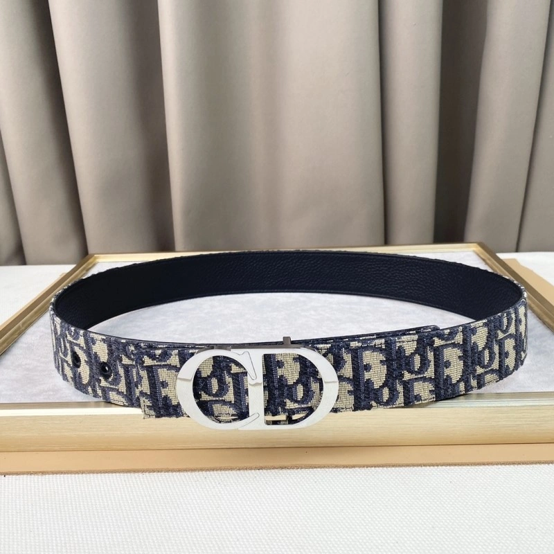 Christian Dior Belts WrinkleFree 284399