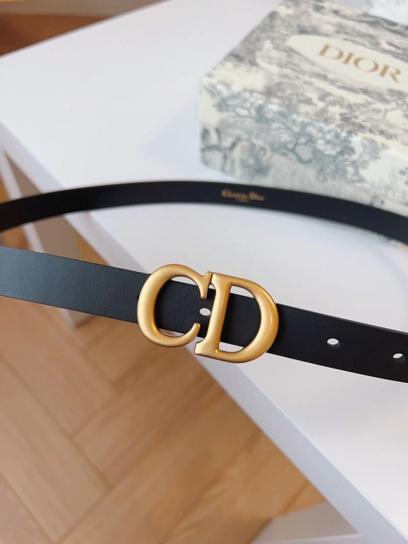 Seasonal Christian Dior Belts 285202