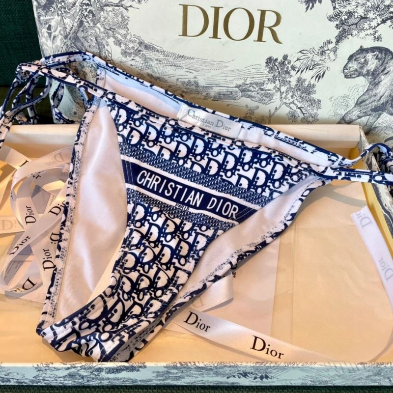 WaterResistant Christian Dior Bikins 256103