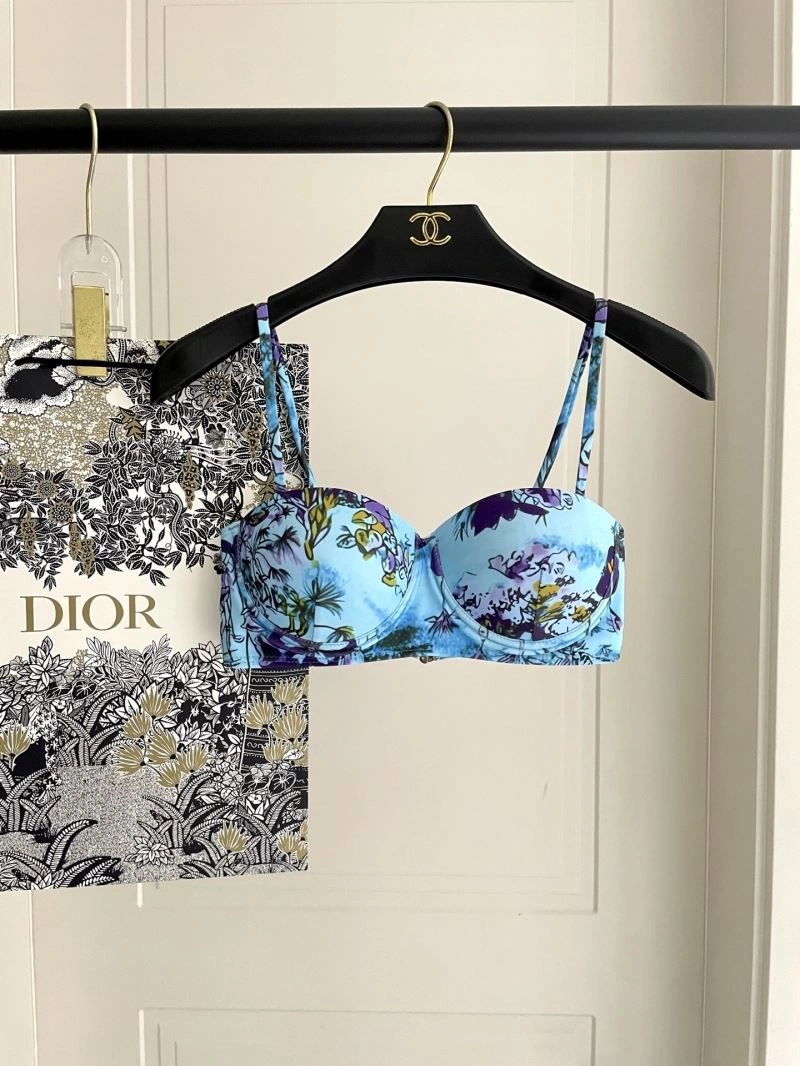 Premium Christian Dior Bikins 256102