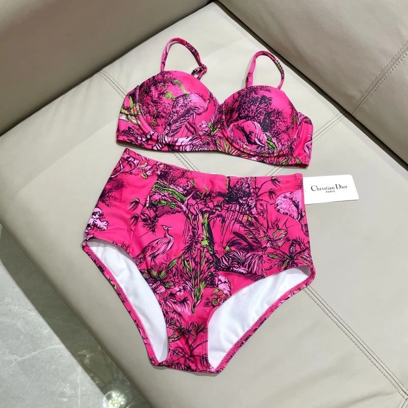 Chic Christian Dior Bikins 256100