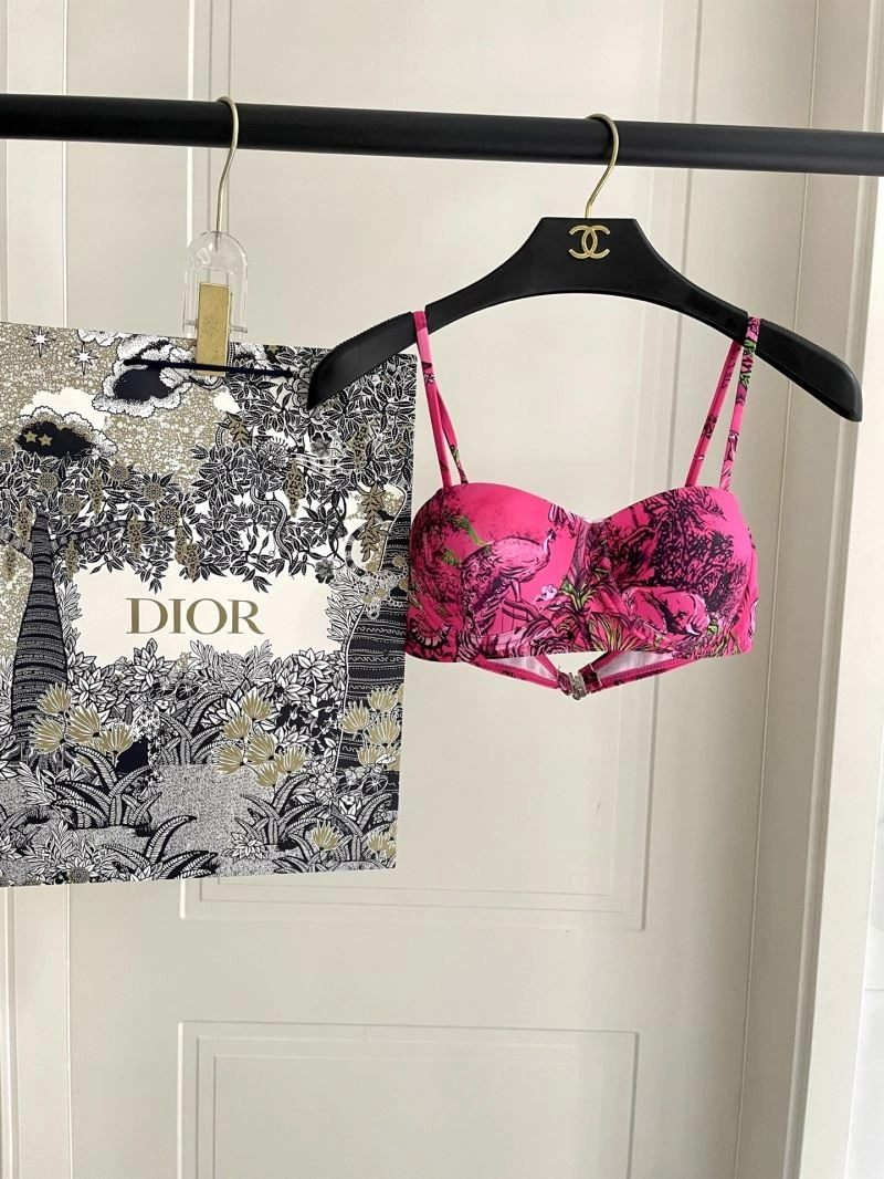 Chic Christian Dior Bikins 256100