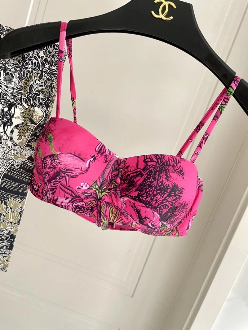 Chic Christian Dior Bikins 256100