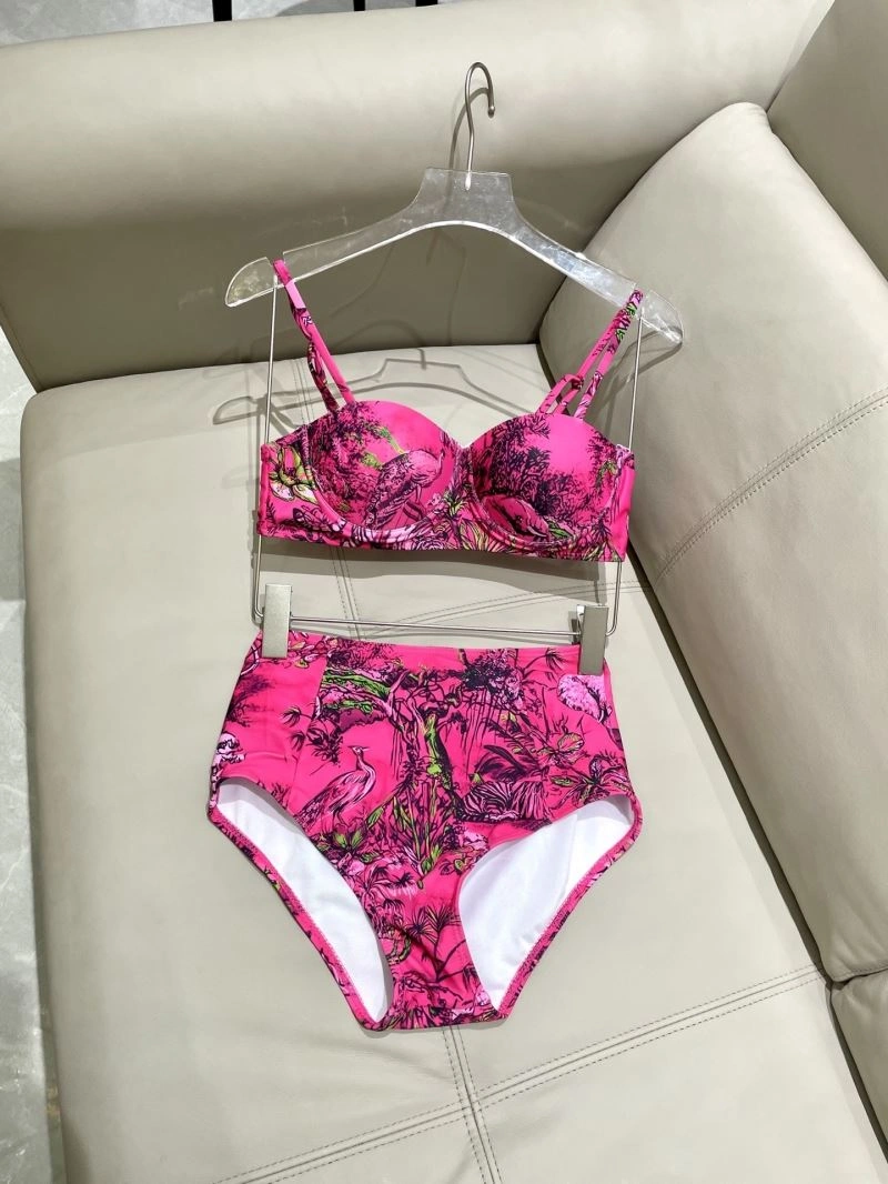 Chic Christian Dior Bikins 256100