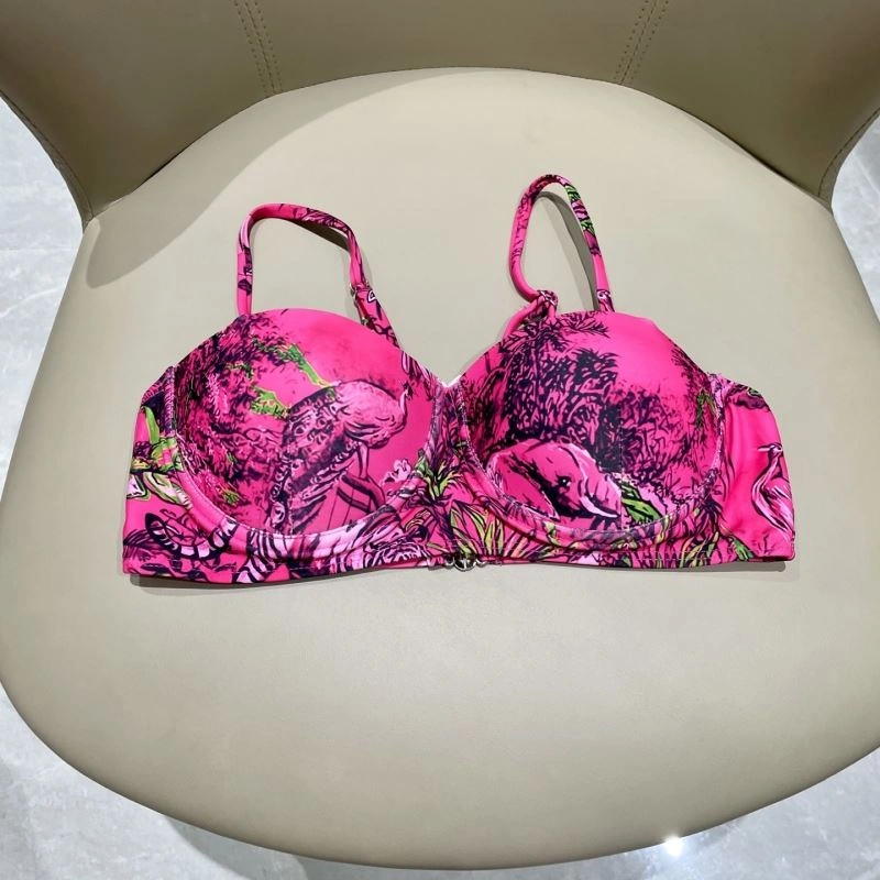 Chic Christian Dior Bikins 256100