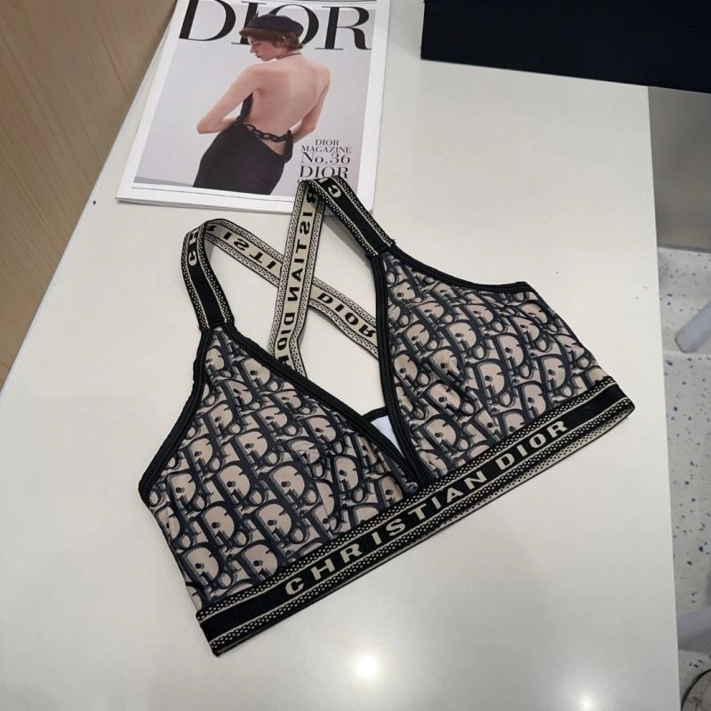 Premium Christian Dior Bikins 256291
