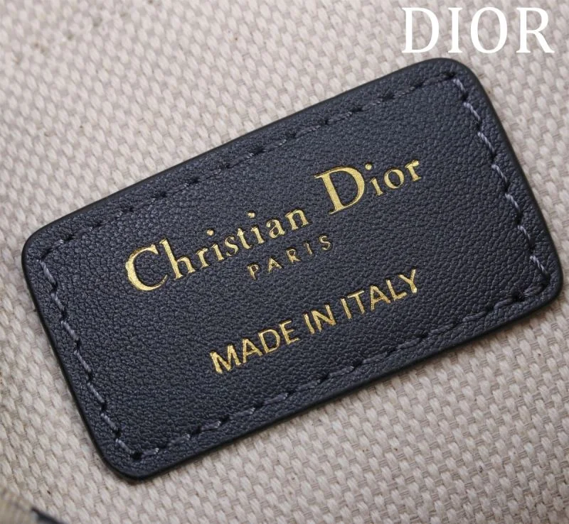 Resilient Christian Dior Bobby Bags 47682