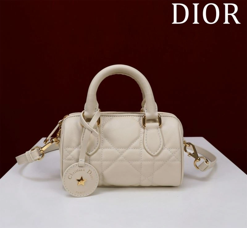 SoftTouch Christian Dior Boston Bags 66887