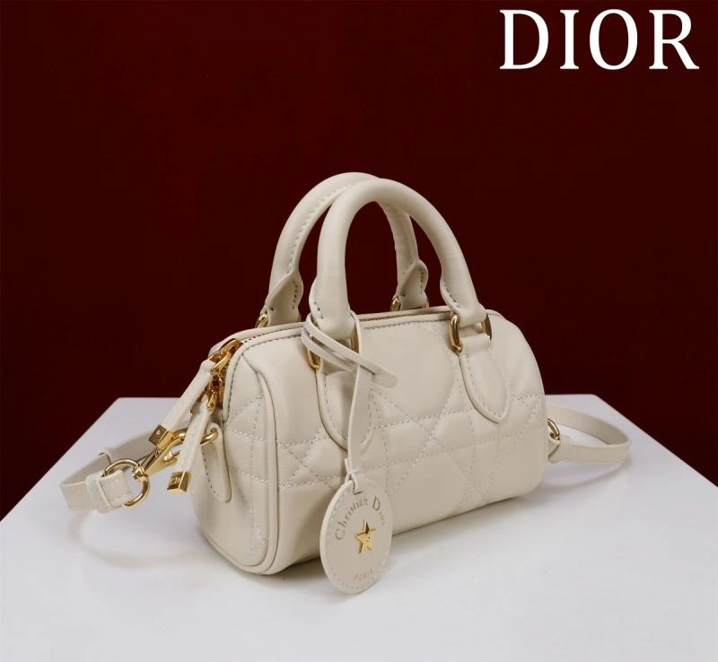 SoftTouch Christian Dior Boston Bags 66887