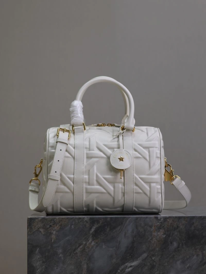 Christian Dior Boston Bags EasyCare 66881