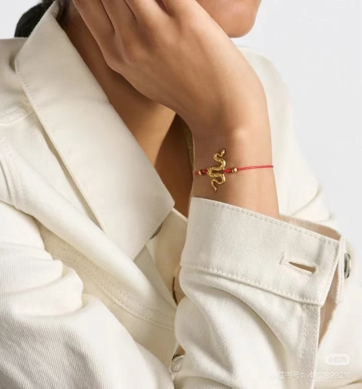 TechFriendly Christian Dior Bracelets 234614