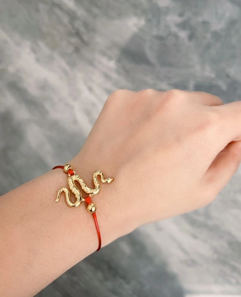 TechFriendly Christian Dior Bracelets 234614