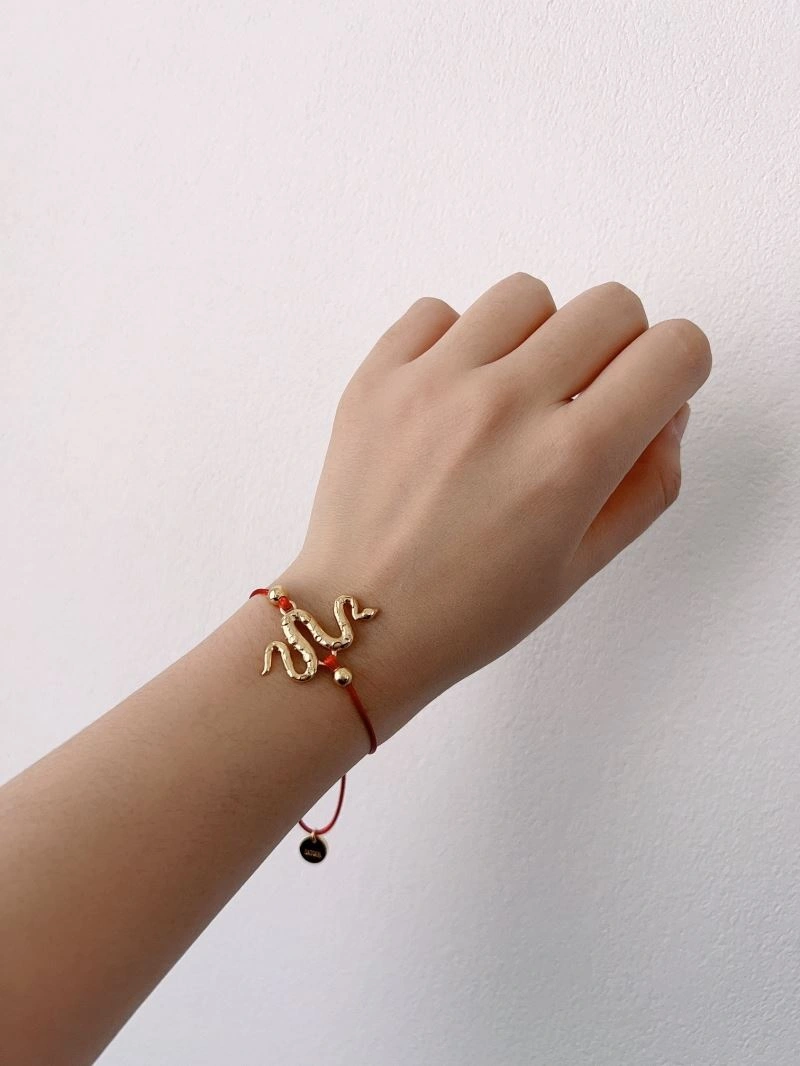 TechFriendly Christian Dior Bracelets 234614