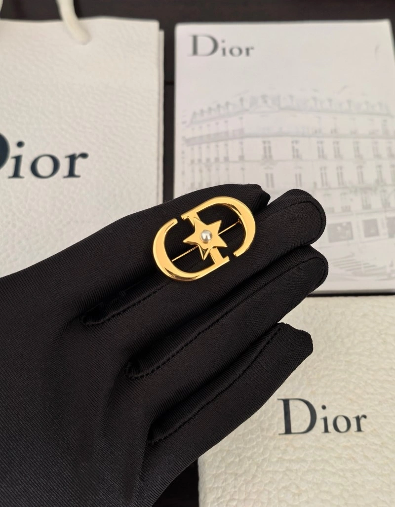 ZipUp Christian Dior Brooches 233241