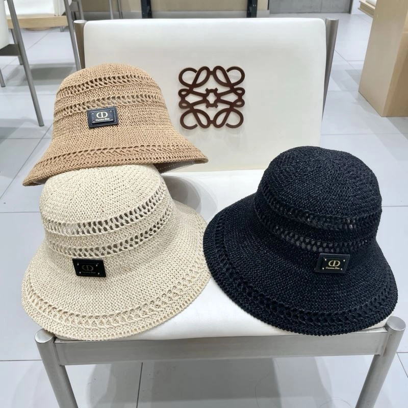 GoAnywhere Christian Dior Caps 259497