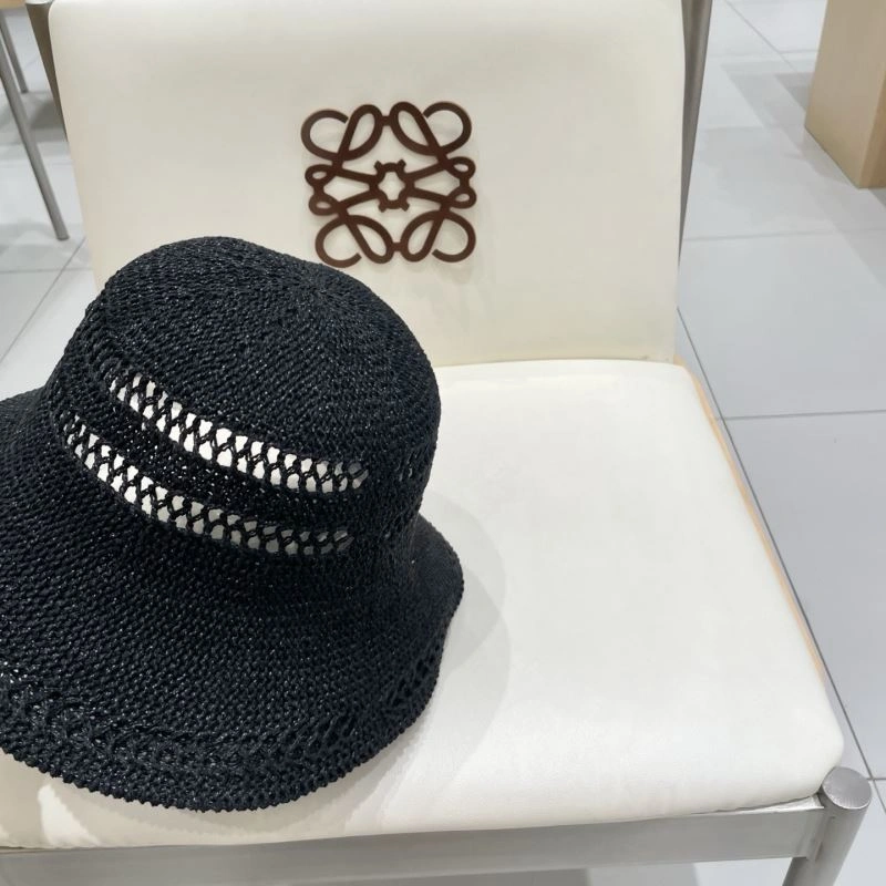 GoAnywhere Christian Dior Caps 259497